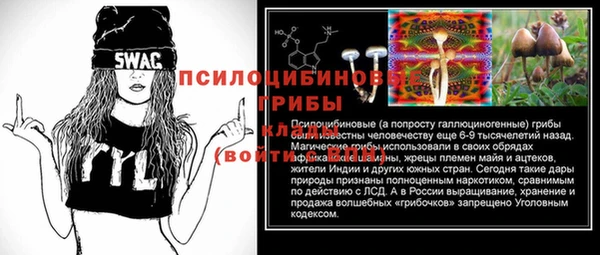 дурь Кулебаки